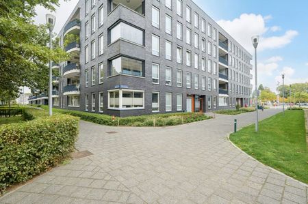 Rijngraafstraat - Foto 4