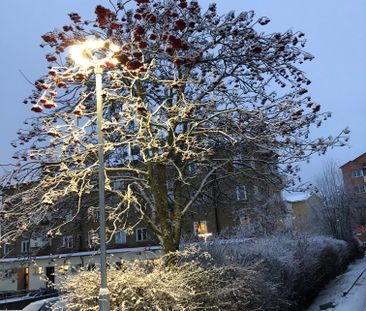 Hagagagatan, Norrköping - Foto 2