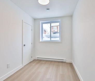 10772A Av. De Lorimier, H2B 2J5, Montréal - Photo 3