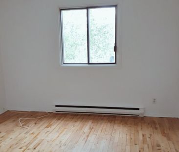 Condo for rent, Longueuil (Saint-Hubert) - Photo 4