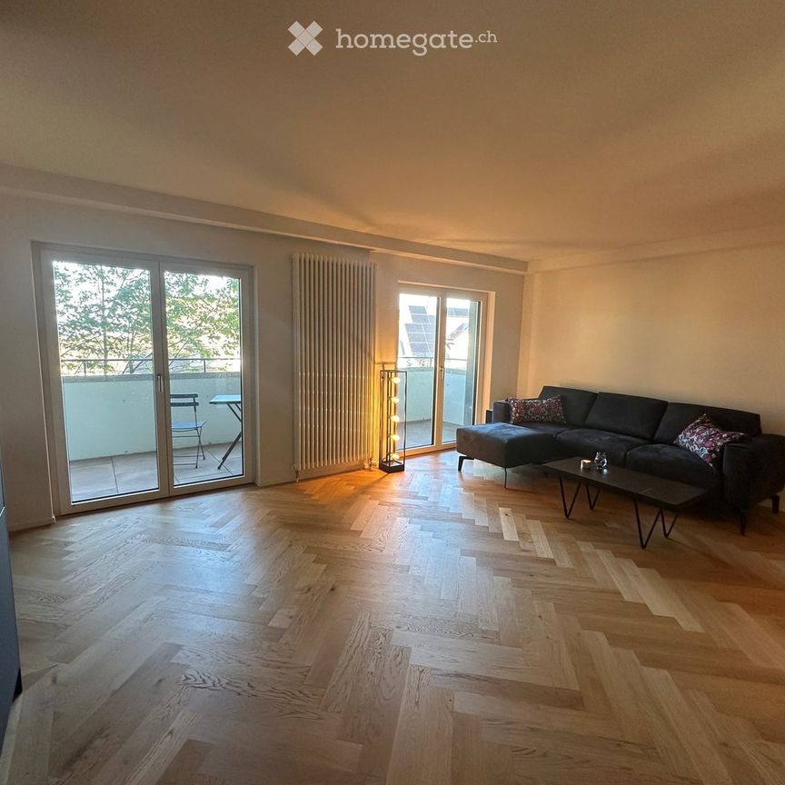 Apartment close to Irchelpark - Photo 1