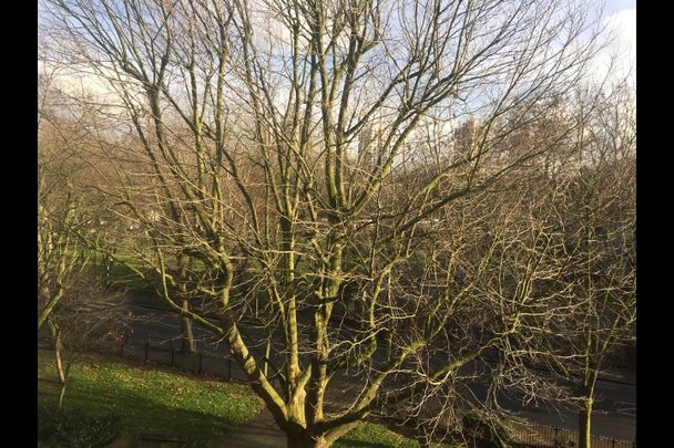 Room in a Shared Flat, Trevelyan House, SE5 - Photo 1