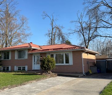 For Lease - 219 Steel Street, Barrie, Ontario - Photo 4