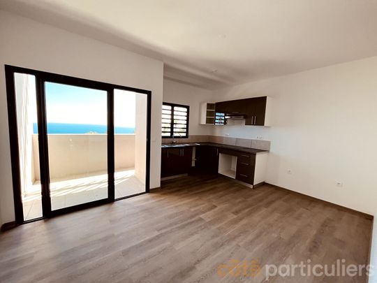 Appartement Saint Denis 1 pièce(s) 38 m2 - BELLEPIERRE - Photo 1