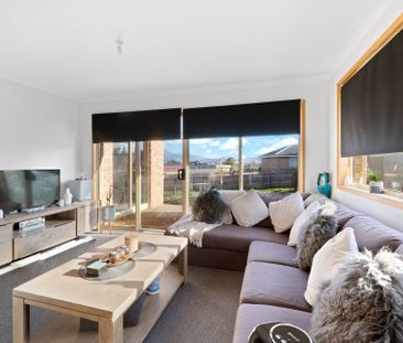 Family Friendly - Photo 2