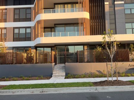 Stunning ground floor unit in the heart of Shell Cove Marina! - Photo 5