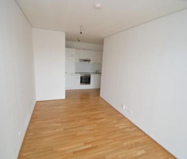 Jakomini – 52 m² – 3 Zimmer – großer Balkon — Erstbezugscharakter –... - Foto 2