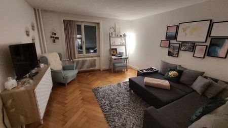 Grand appartement au pied de l’Uetliberg - Photo 2