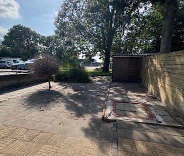 It Heech, 42, Dronryp - Photo 4