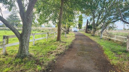 Country Living for the Family - Photo 3