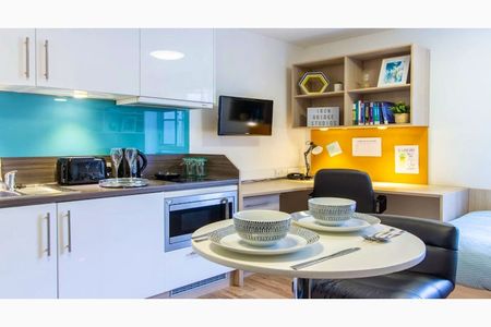 Platinum Studio / Platinum Studio Plus - Photo 3