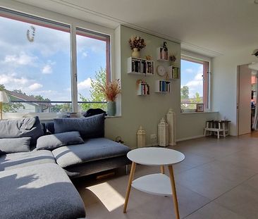 4½ Zimmer-Wohnung in Luzern, möbliert, auf Zeit - Photo 4