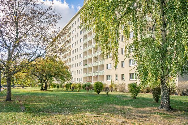 Helle 2-Raum-Wohnung mit Balkon und Dusche - Photo 1