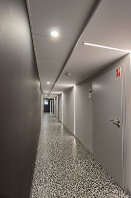 Mieszkanie Stare Miasto Szczecin, ul. Wielka Odrzańska, nr 437518 - Photo 1