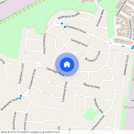 5 LEOPARD TREE PLACE, Qld 4214, Molendinar