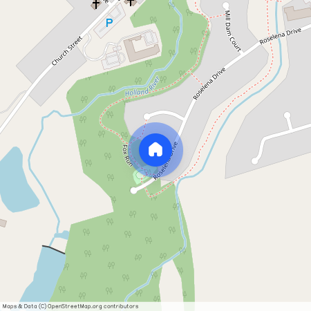 208 Roselena (Main Flr) Drive, King