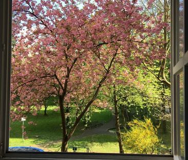 Gepflegte 3-Zimmer Wohnung in ruhiger, zentraler Lage - Photo 1