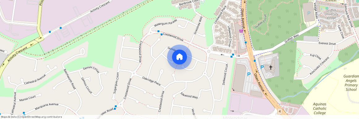 14 Gumleaf Drive, Qld 4214, Molendinar