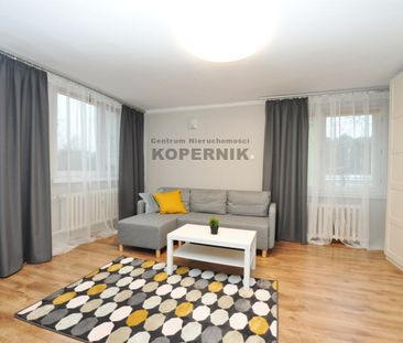 Toruń, Toruń - Фото 4