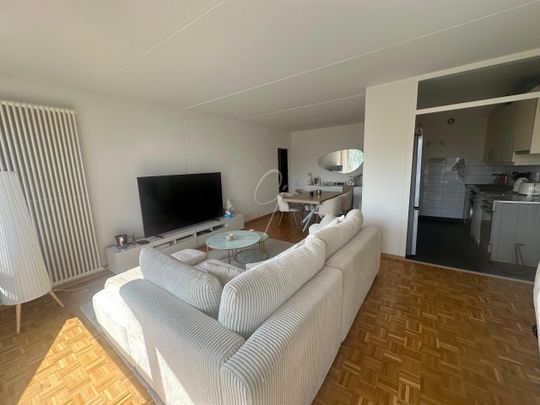 4 bright rooms in ONEX ( Rue des Bossons) - Photo 1