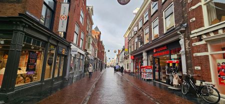 Te huur: Kamer Hogewoerd in Leiden - Photo 3