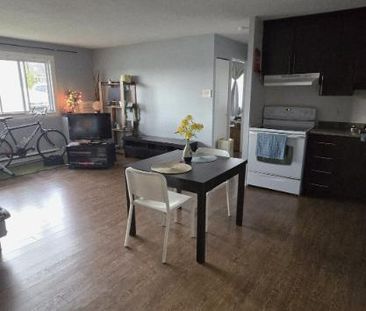3 1/2 - Gatineau (Aylmer) - 1 595 $/mois - Photo 4