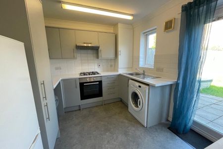 Acorn Grove - Photo 4