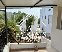 Μονοκατοικία για ενοικίαση - Σαλαμίνα, - Photo 5