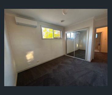 What A Find! - Photo 2