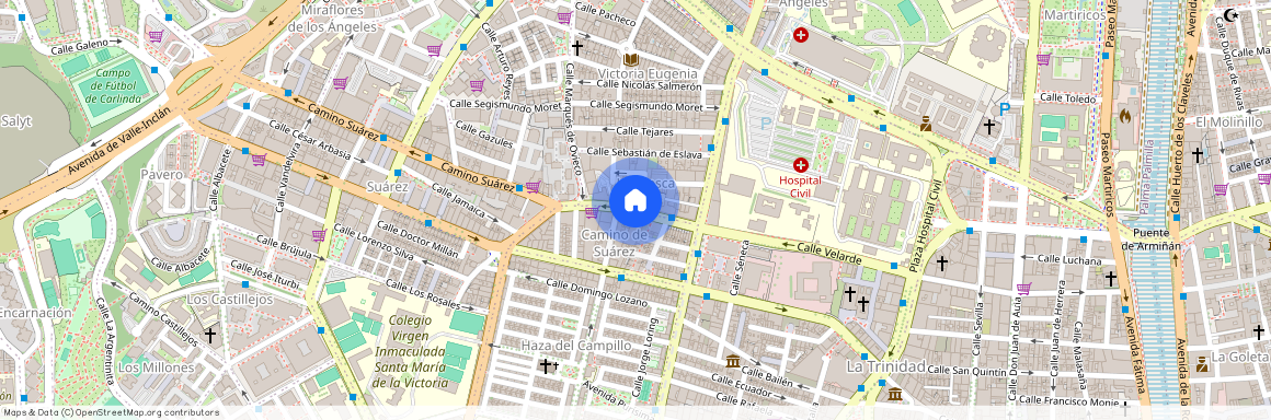 Camino Suárez, Málaga, Andalusia 29010, Malaga