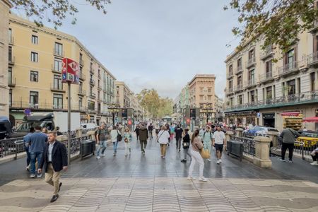 Carrer Nou de la Rambla, Barcelona, Catalonia 8001 - Photo 3