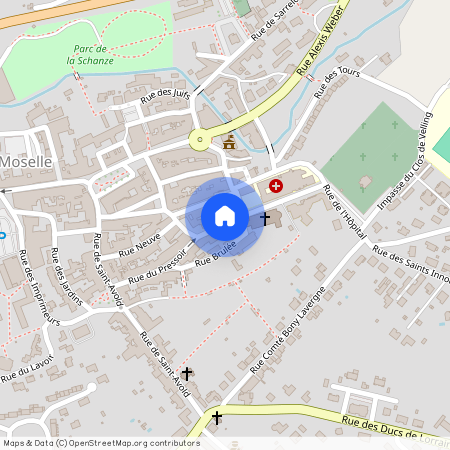 17 rue du Chanoine Limbourg, BOULAY MOSELLE, 57220