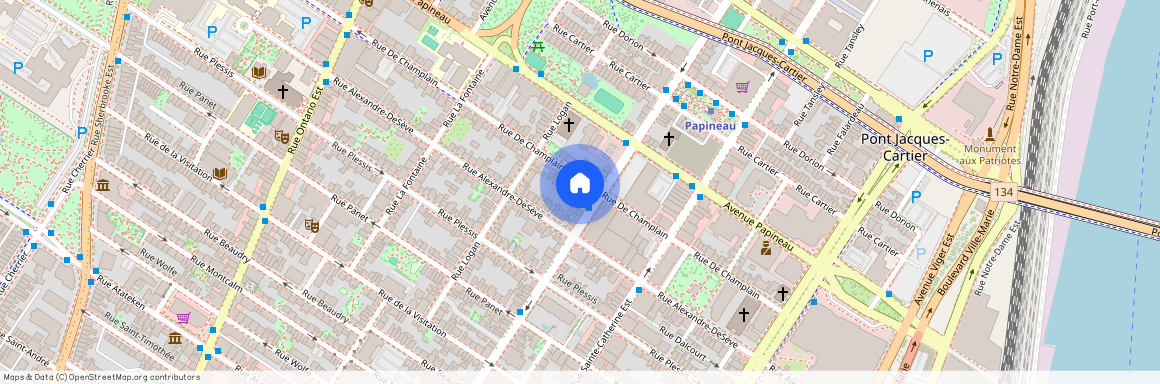 1564 Rue De Champlain, Montréal (Ville-Marie), H2L2S4