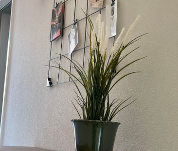 Stillvolle Möbelierte 2-Zimmer Wohnungen - Photo 6