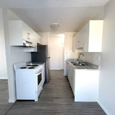 Spacious 2-Bedroom Apartment in Maple Ridge - Photo 4