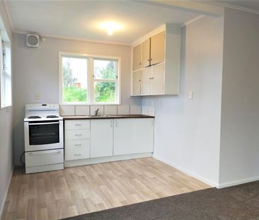 One Bedroom Johnsonville Flat For Rent - Photo 3