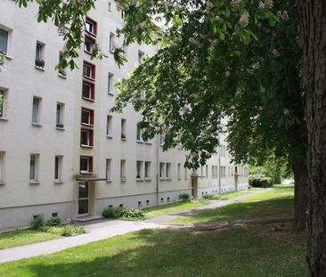 Gemütliche Singlewohnung im Grünen - Photo 2