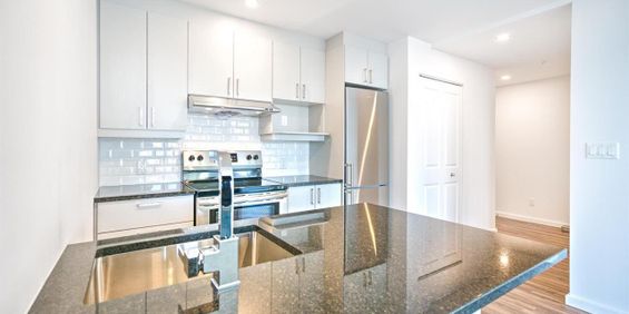1 Bedroom - 280 René-Lévesque Ouest, Montréal - Photo 3