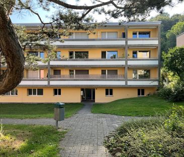 Moderne 2.5-Zimmerwohnung in Ostermundigen - Photo 6