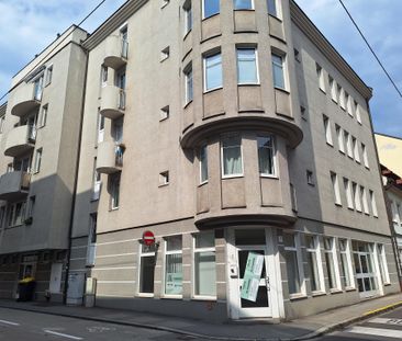 Ruhige Single-Wohnung im Domviertel - Photo 4