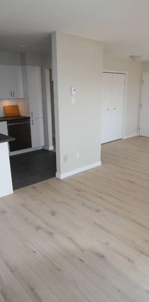 BOUCHERVILLE, spacieux 4 1/2 à louer de style Condo à aire ouverte (1000pi carré). - Photo 1