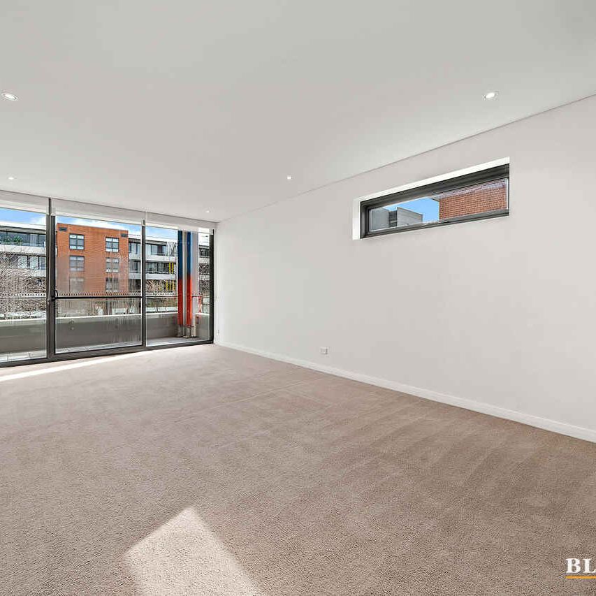 Luxurious Apartment Living - Photo 1