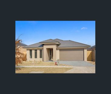 Community living at its finest - Photo 5