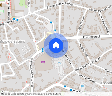 Location Appartement 1 pièce 35m² BREST 29200 - Photo 1