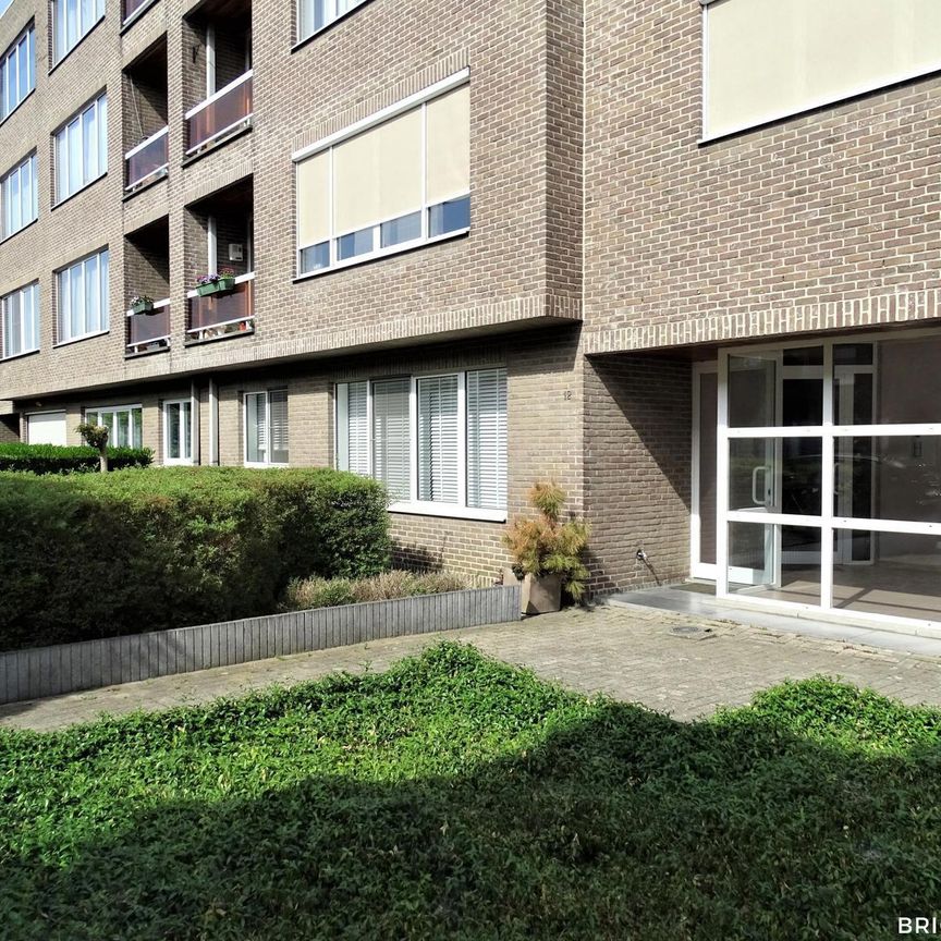 Gelijkvloers appartement incl garage te huur - Photo 1