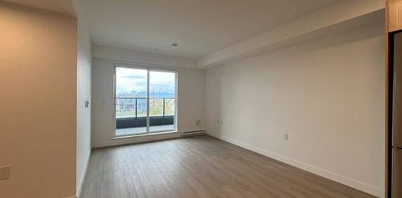 Newly Built 2 Bedroom, 2 Bathroom, Pet Friendly, Rooftop Lounge & More - Photo 2