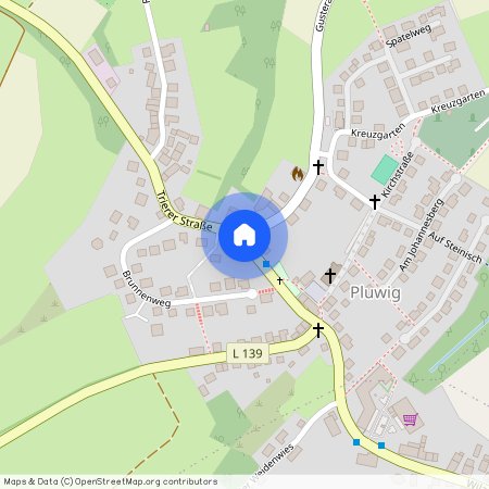 54316 Rheinland-Pfalz - Holzerath