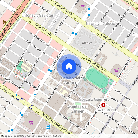 Calle 30 Norte, Gonzalo Guerrero, 77720 Playa del Carmen, ROO, Mexico