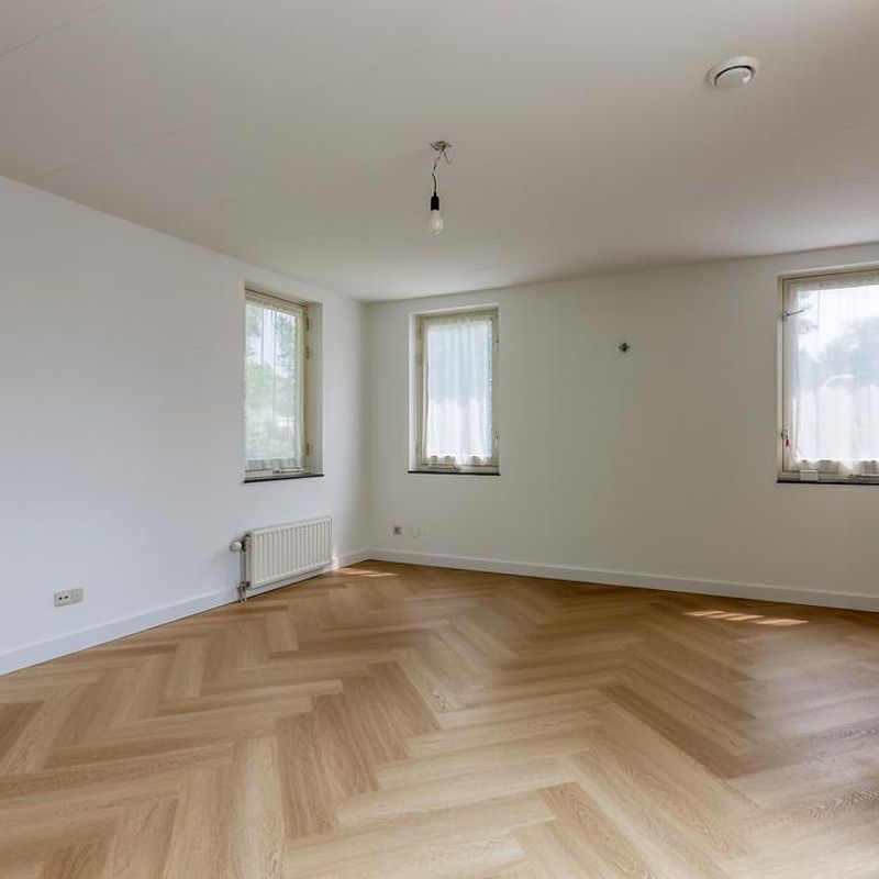 Guirlande 205 - Photo 1