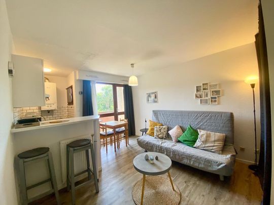 Location Appartement 1 pièce Meublé 23m² ST PIERRE DU MONT 40280 - Photo 1